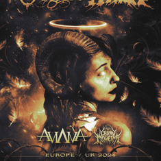 Born of Osiris & Attila