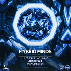 Hybrid Minds