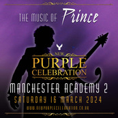 New Purple Celebration